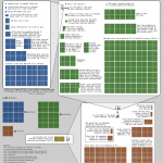 Radiation Dose and Effect: Visual Perspective