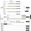 WordPressTemplateHierarchy Rev 6